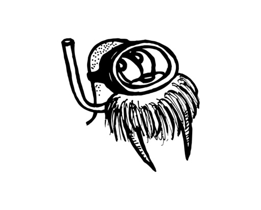 Printy 4923 Tauchstempel 02 Taucherstempel Motiv Seerobbe SCHWARZ BLAU